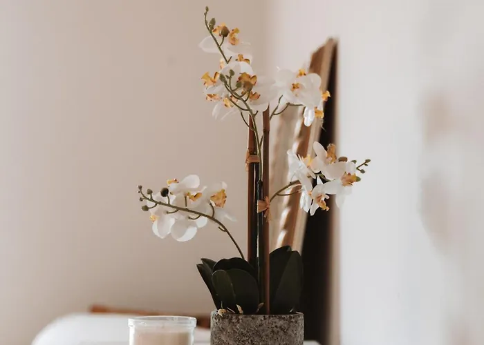 Bed & Breakfast La Luna 3*